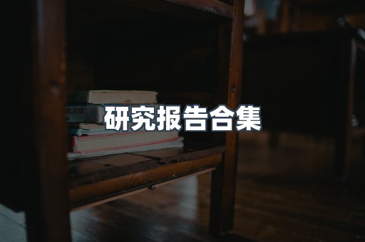 研究报告合集